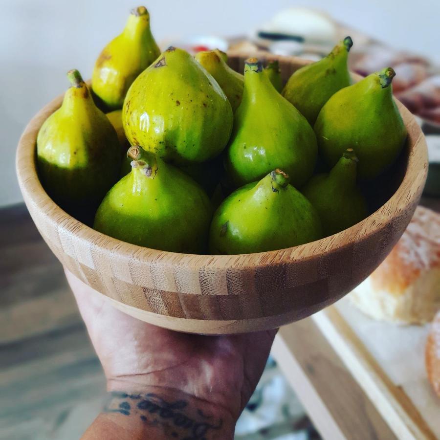 La Ceiba Speciosa Capaccio Exterior foto